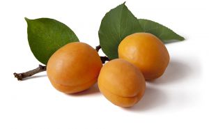 CMI_ 3Apricots_8695.jpg